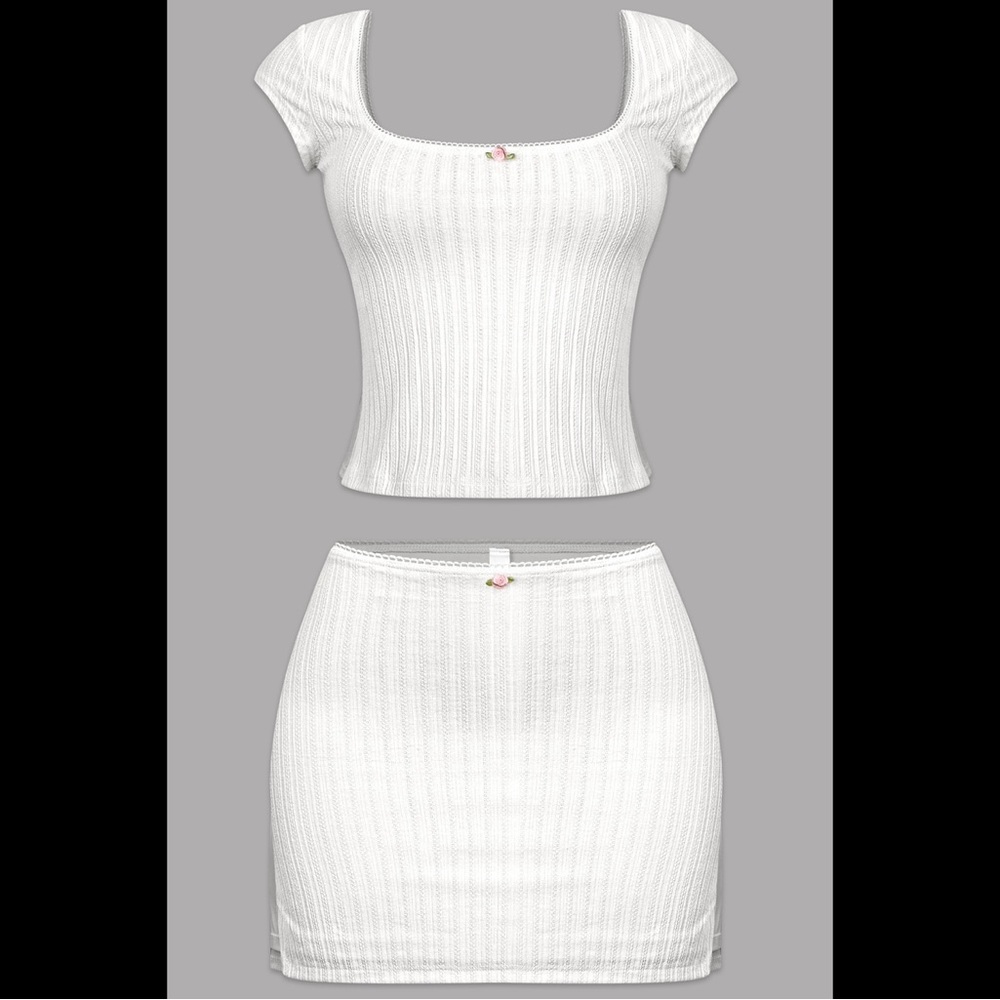 Two piece skirt set, top and bottom